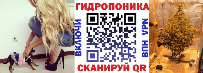 МАРИХУАНА THC 21%  Светогорск 